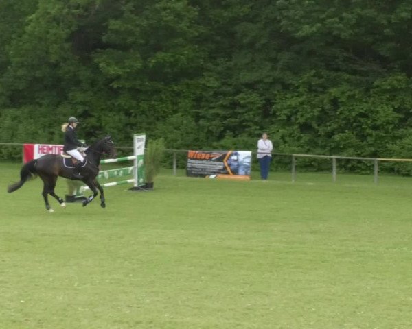 Reitturnier Jettingen 2018