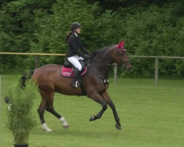 Reitturnier Jettingen 2018