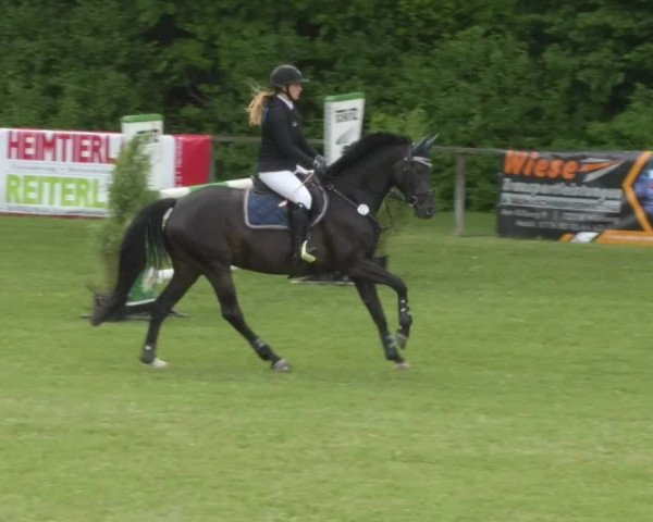 Reitturnier Jettingen 2018