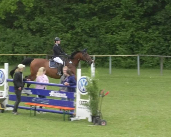 Reitturnier Jettingen 2018