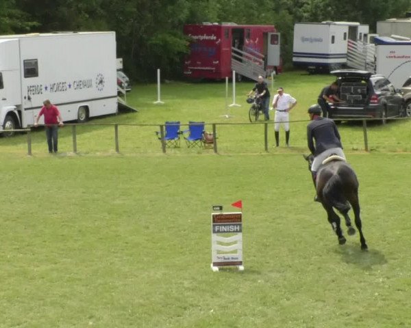 Reitturnier Jettingen 2018