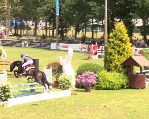 Reitturnier Cottbus-Sielow 2018