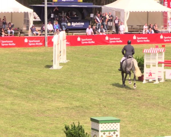 Reitturnier Cottbus-Sielow 2018