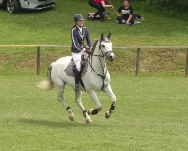 Reitturnier Jettingen 2018