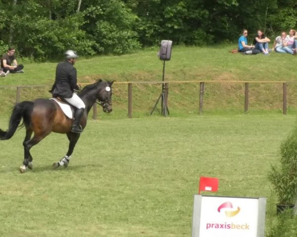Reitturnier Jettingen 2018