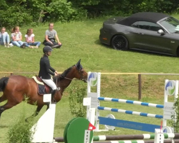 Reitturnier Jettingen 2018