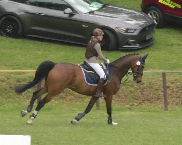 Reitturnier Jettingen 2018