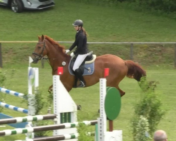 Reitturnier Jettingen 2018