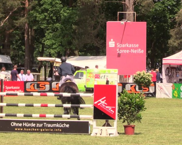 Reitturnier Cottbus-Sielow 2018