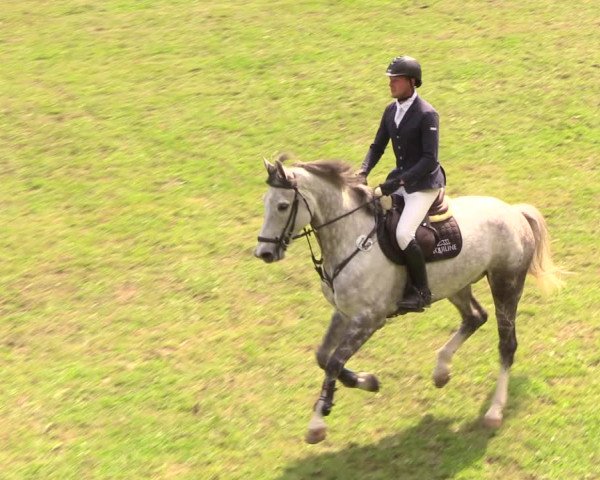 Reitturnier Cottbus-Sielow 2018