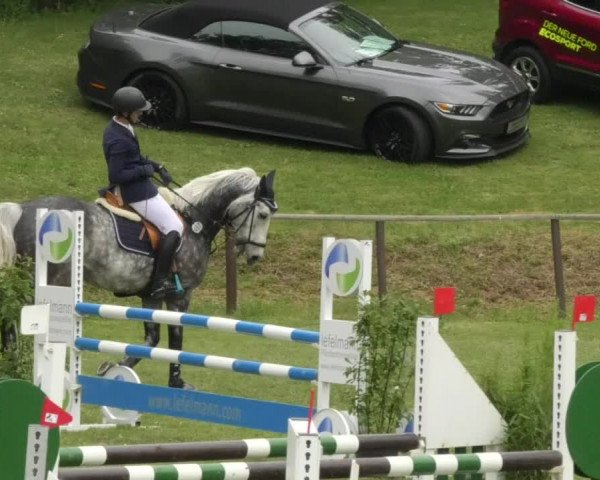 Reitturnier Jettingen 2018