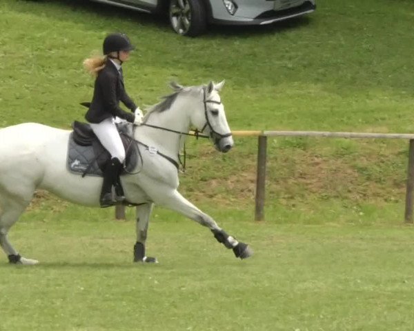 Reitturnier Jettingen 2018