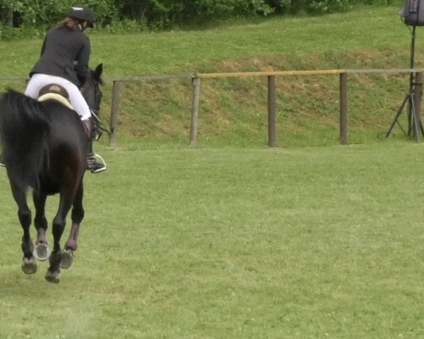 Reitturnier Jettingen 2018