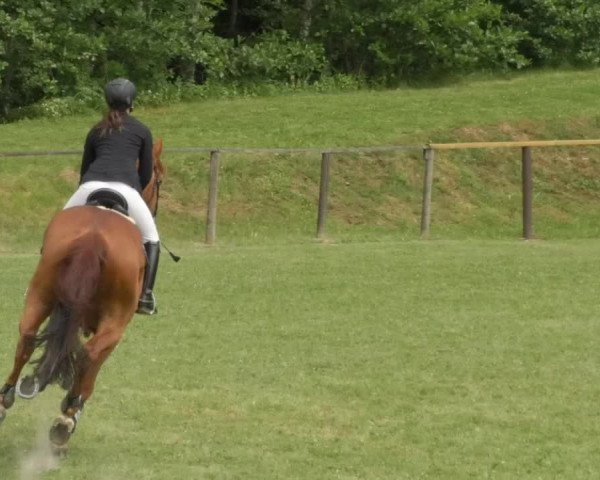 Reitturnier Jettingen 2018