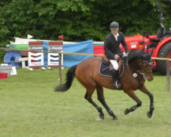 Reitturnier Jettingen 2018