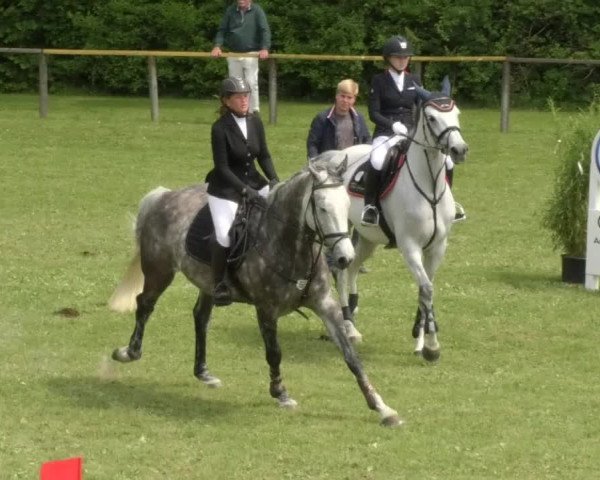 Reitturnier Jettingen 2018