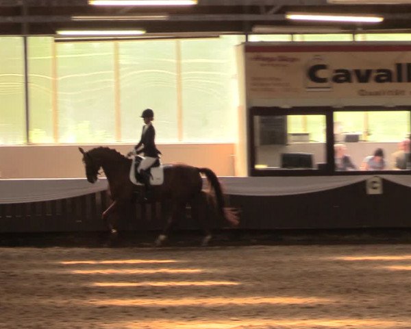 Pfingssturnier Bochum-Nord 2018
