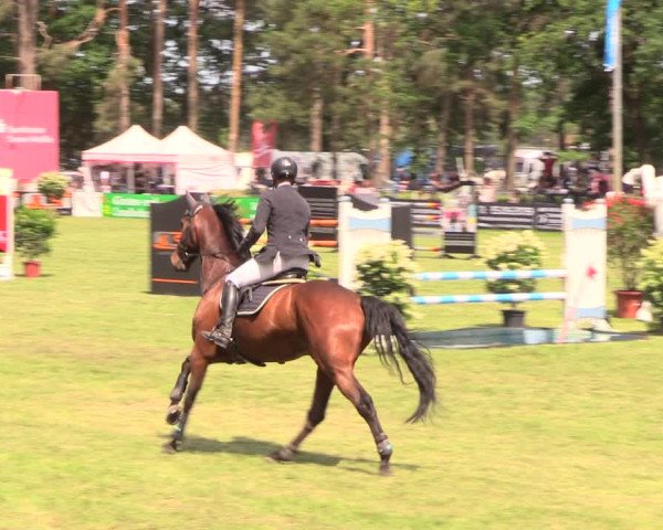 Reitturnier Cottbus-Sielow 2018