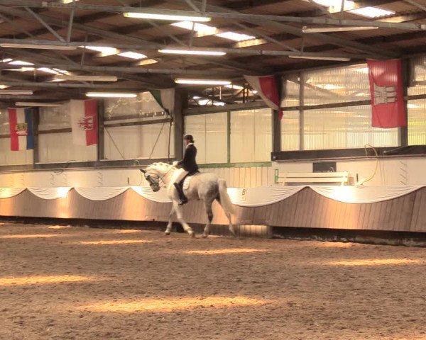 Pfingssturnier Bochum-Nord 2018