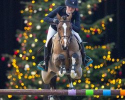 jumper Atomic du Bary (French Pony, 2010, from Frascator Mail)