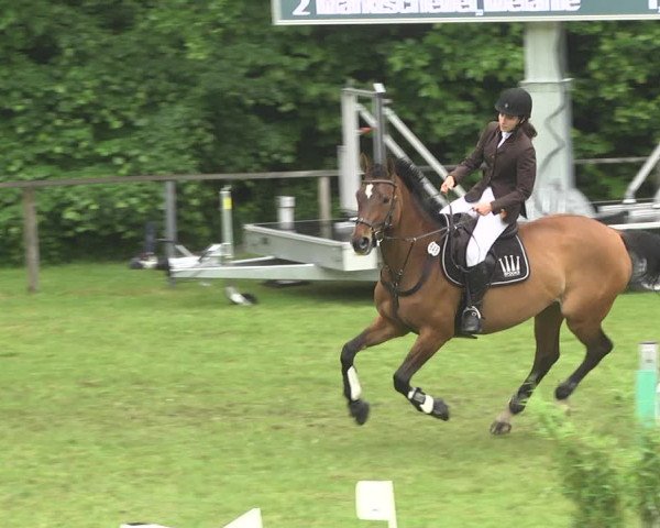 Reitturnier Jettingen 2018
