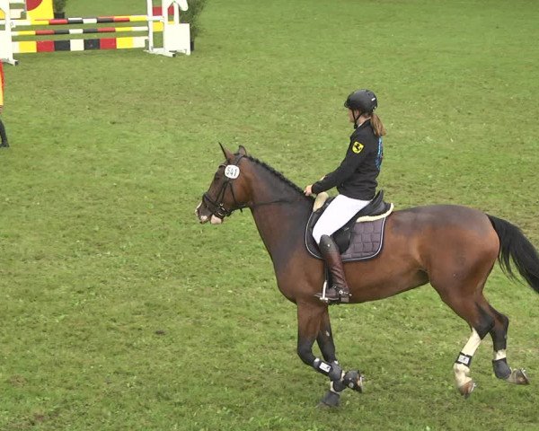 Reitturnier Jettingen 2018