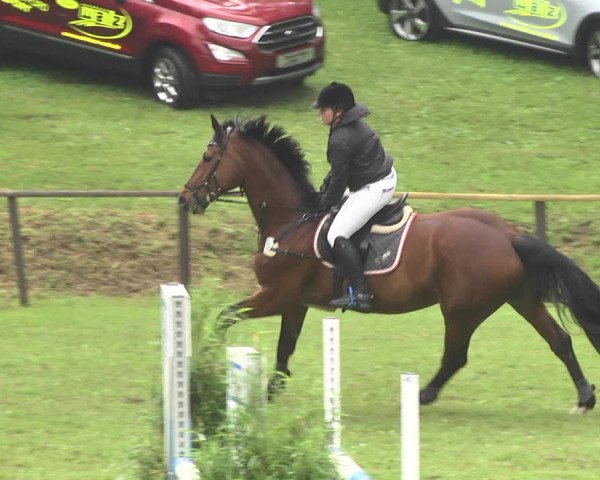Reitturnier Jettingen 2018