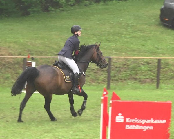 Reitturnier Jettingen 2018