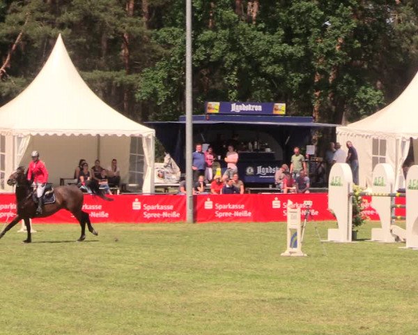Reitturnier Cottbus-Sielow 2018