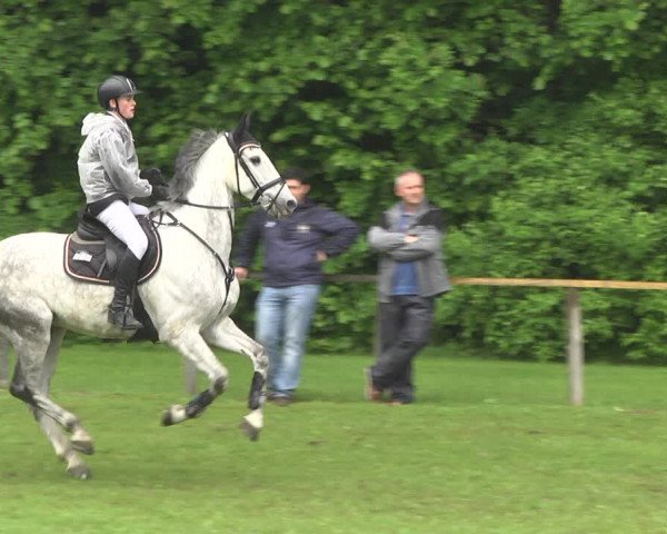 Reitturnier Jettingen 2018
