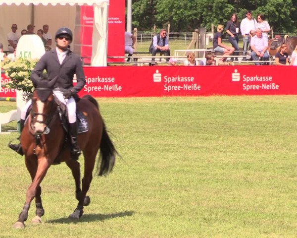 Reitturnier Cottbus-Sielow 2018