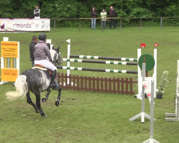 Reitturnier Jettingen 2018