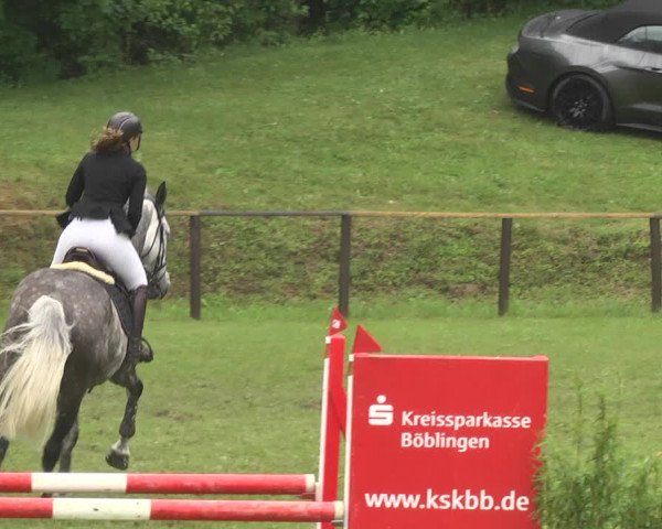Reitturnier Jettingen 2018