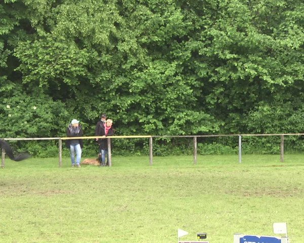 Reitturnier Jettingen 2018