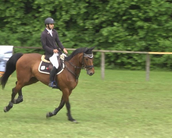 Reitturnier Jettingen 2018