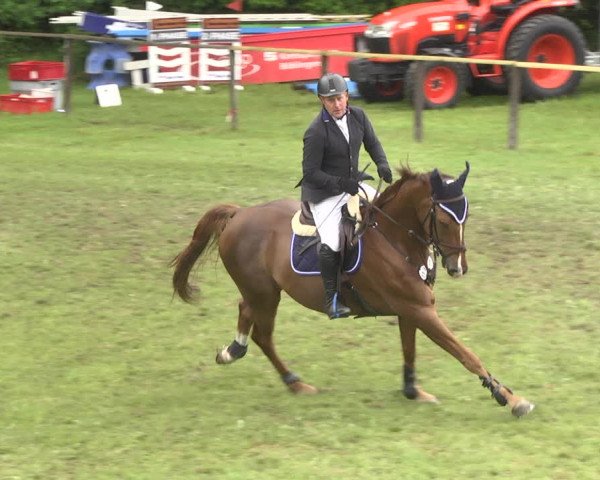 Reitturnier Jettingen 2018
