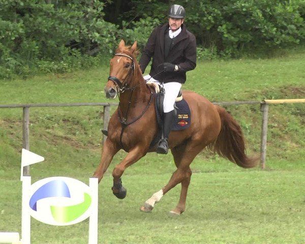 Reitturnier Jettingen 2018
