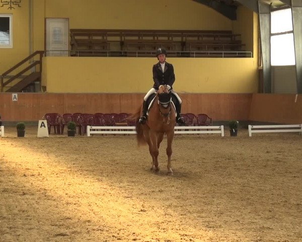 Reitturnier Frechen-Grefrath - Sonnenhof 2018