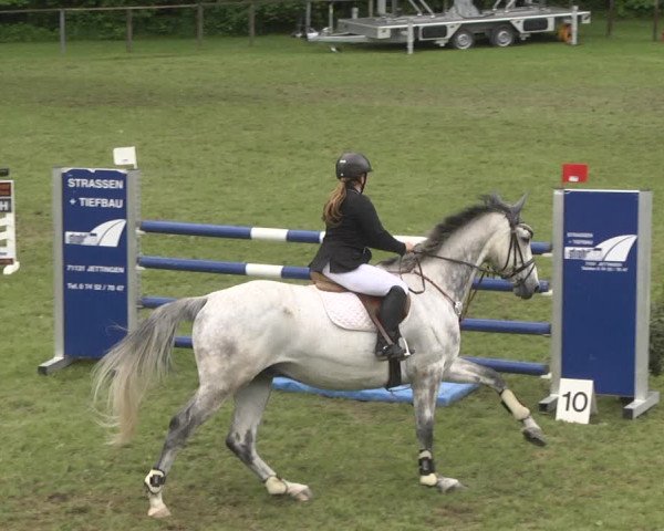 Reitturnier Jettingen 2018