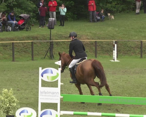 Reitturnier Jettingen 2018