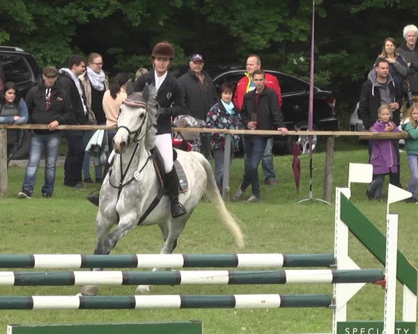 Reitturnier Jettingen 2018