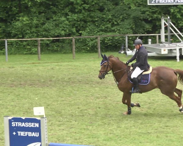 Reitturnier Jettingen 2018