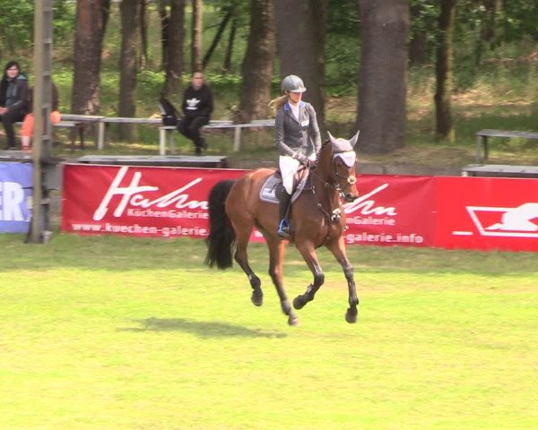 Reitturnier Cottbus-Sielow 2018