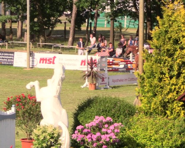 Reitturnier Cottbus-Sielow 2018