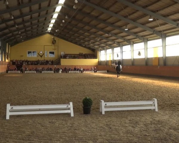 Reitturnier Frechen-Grefrath - Sonnenhof 2018