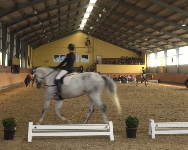 Reitturnier Frechen-Grefrath - Sonnenhof 2018