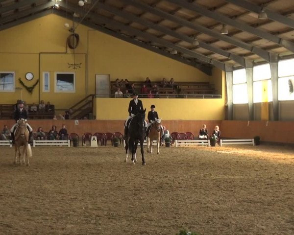 Reitturnier Frechen-Grefrath - Sonnenhof 2018