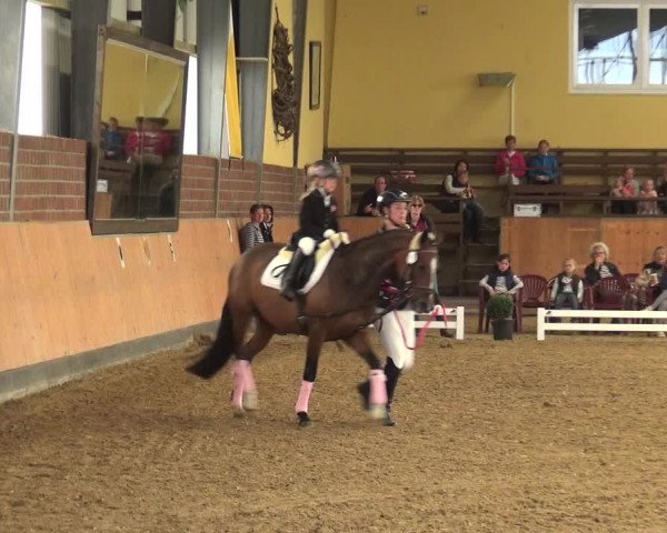 Reitturnier Frechen-Grefrath - Sonnenhof 2018