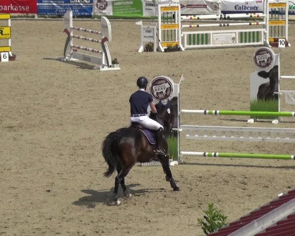 Reitturnier Frechen-Grefrath - Sonnenhof 2018