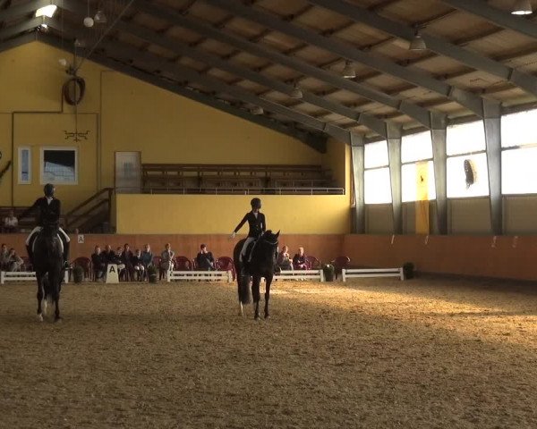Reitturnier Frechen-Grefrath - Sonnenhof 2018